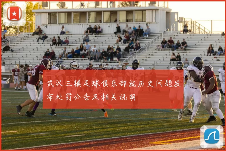 武汉三镇足球俱乐部就历史问题发布处罚公告及相关说明